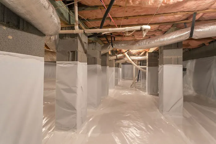 Jury Pest Services Picture 9
