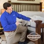 Jury Pest Services