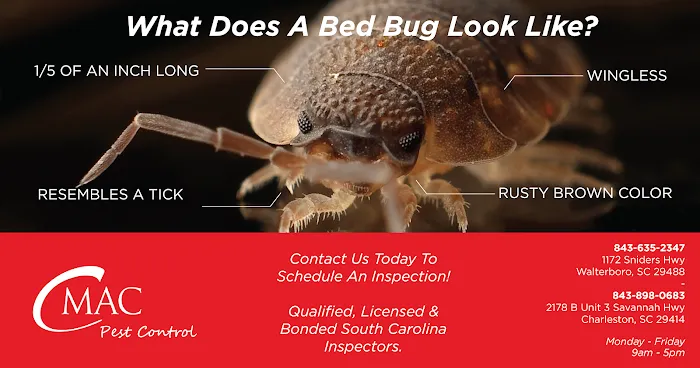 CMAC Pest Control LLC Picture 7