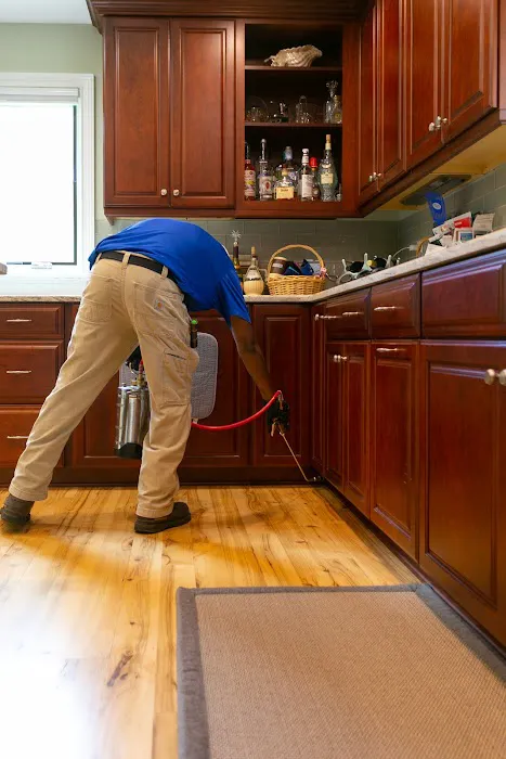 Ledford's Termite & Pest Control Picture 10