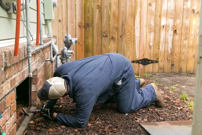 Ledford's Termite & Pest Control Picture 9