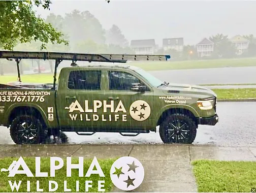 Alpha Wildlife Charleston Picture 2