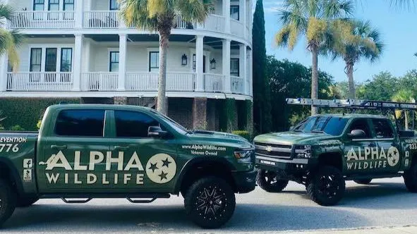 Alpha Wildlife Charleston Picture 7
