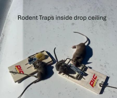 ProCore Pest Control
