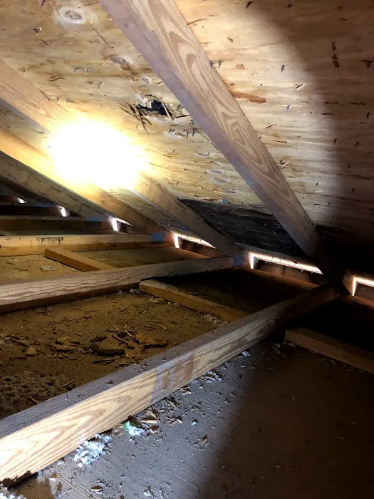 ProCore Pest Control Picture 7