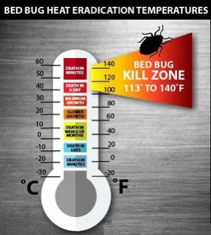 ProCore Pest Control Picture 8