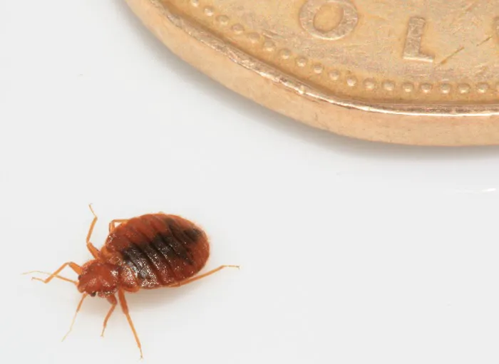 L & L Mosquito & Pest Control Inc Picture 4