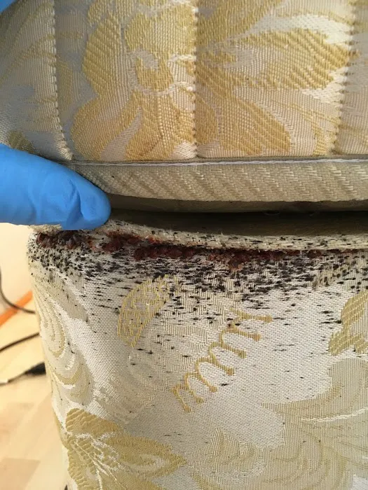 Pinnacle Pest Solutions, LLC Picture 7