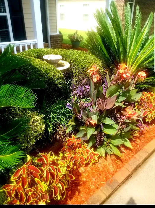 All IN One Exterior Property Maintenance, LLC Picture 9
