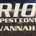 Orion pest control