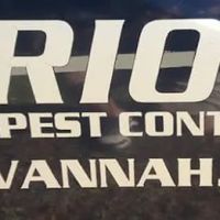 Orion pest control ico