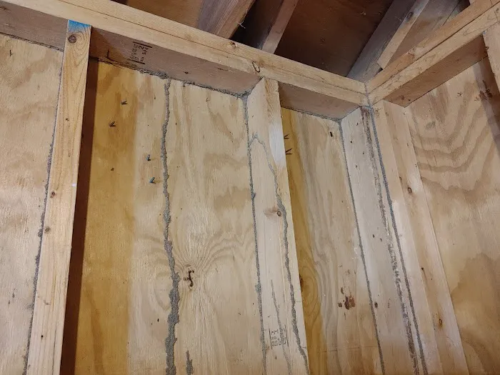 Bee Green Pest Solutions Picture 9