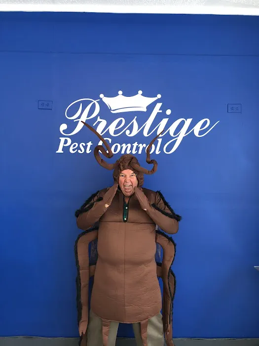 Prestige Pest Control Picture 6