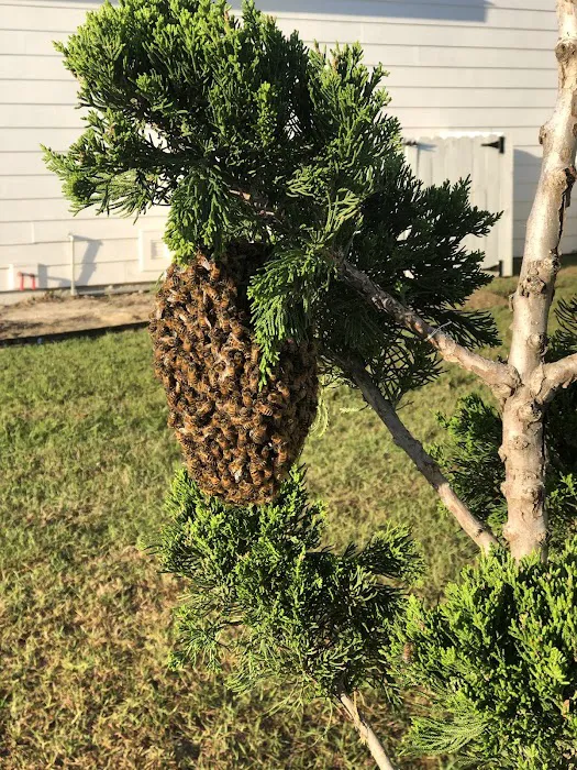 Prestige Pest Control Picture 2