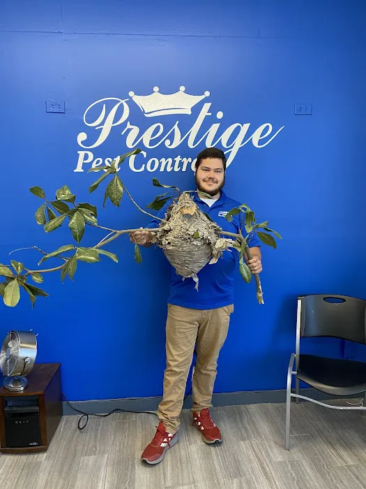 Prestige Pest Control Picture 8
