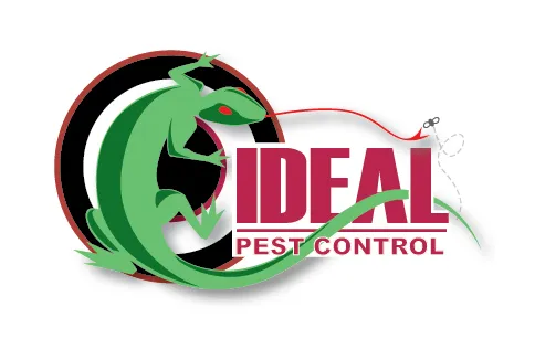 Ideal Pest Control Inc. Picture 2