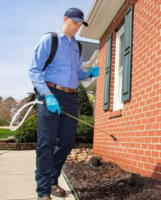 Insight Pest Solutions Picture 4