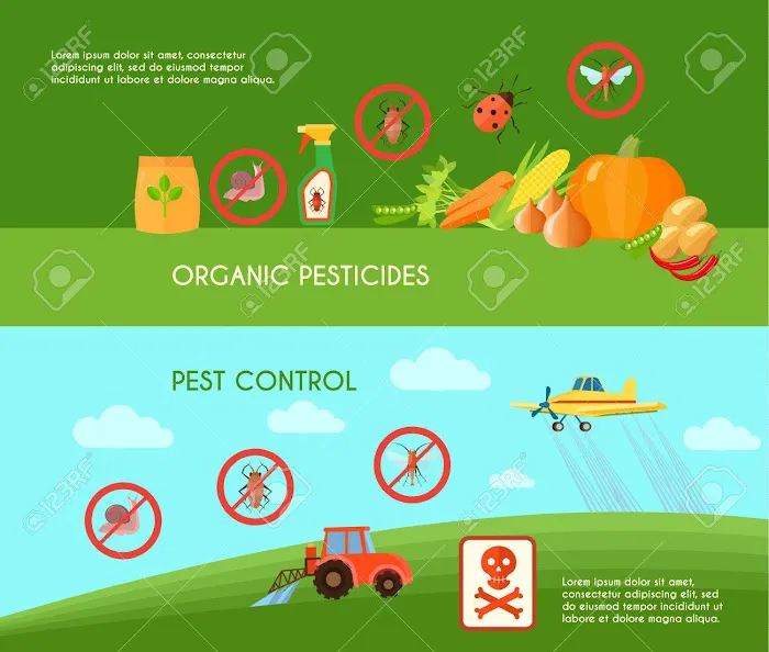 Central Pest Control Picture 5