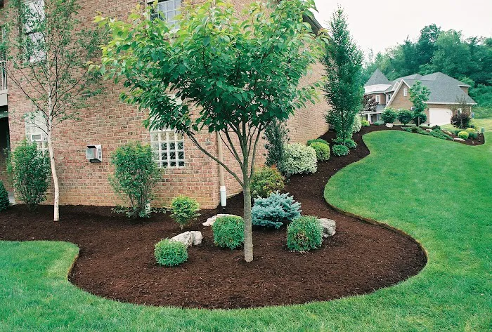 Happy Green Services Picture 2