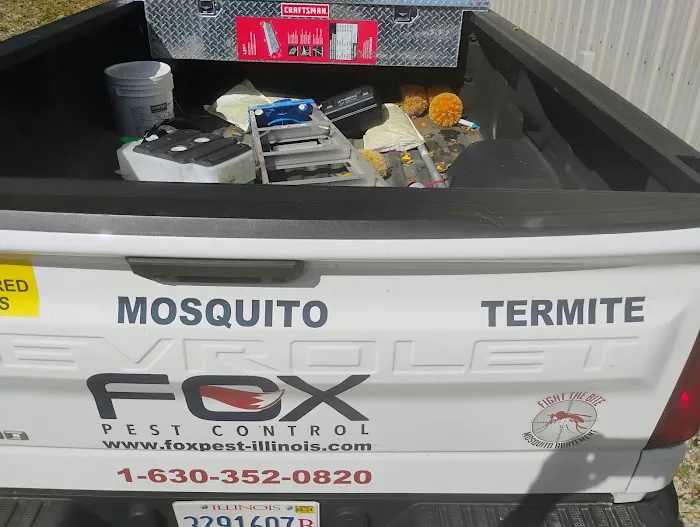 Fox Pest Control Picture 5