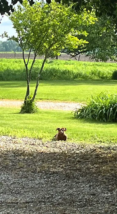Orkin Picture 9