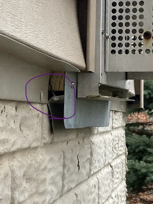 Orkin Picture 5