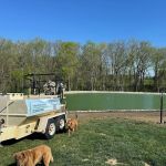 Classy Grass Lawn Care, Landscape & Snow Removal