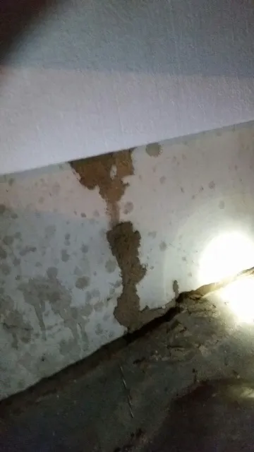 Bacon's Termite & Pest Control Picture 6