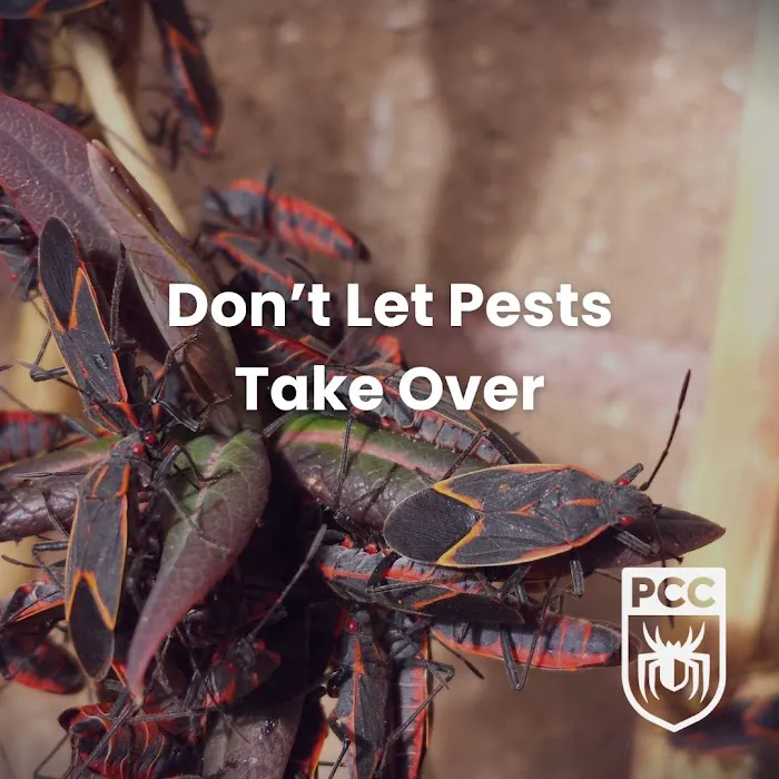 Pest Control Consultants Picture 9