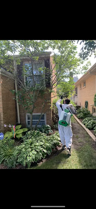 Pest Busters- Naperville Picture 3