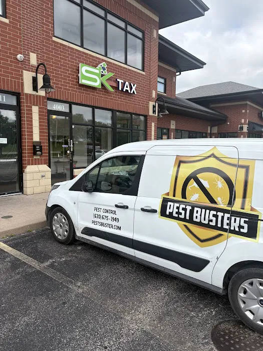 Pest Busters- Naperville Picture 1