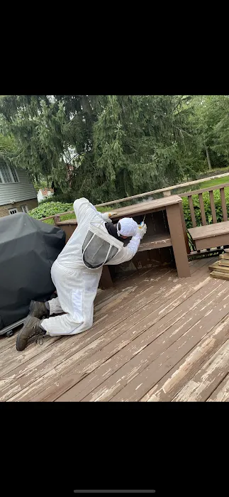 Pest Busters- Naperville Picture 5