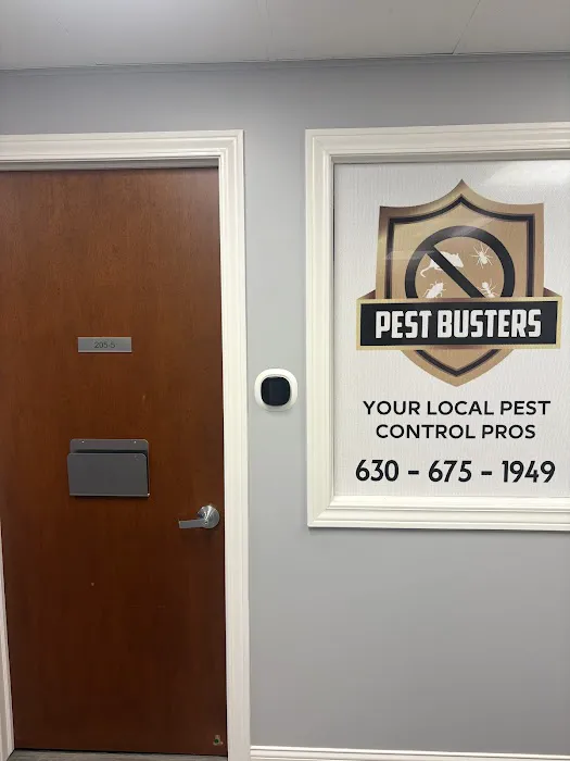 Pest Busters- Naperville Picture 7