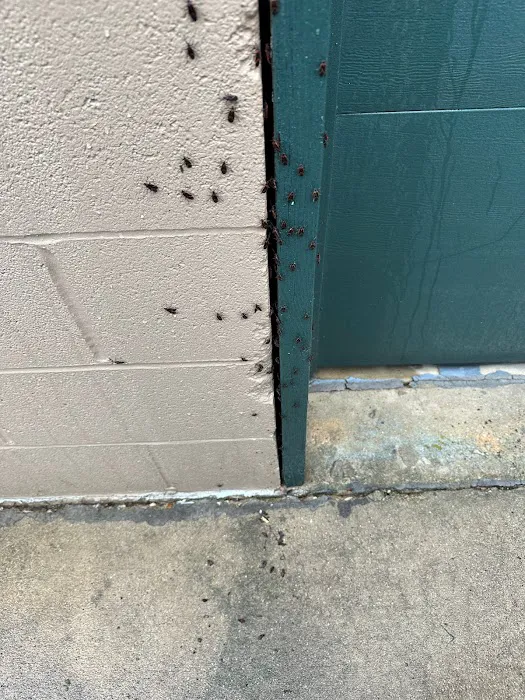 Yosemite Pest & Rodent Solutions, Inc. Picture 1
