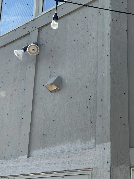Yosemite Pest & Rodent Solutions, Inc. Picture 6