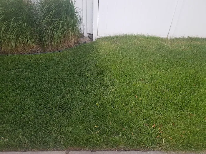 Pro Turf & Pro Pest Solutions - Plainfield Picture 5