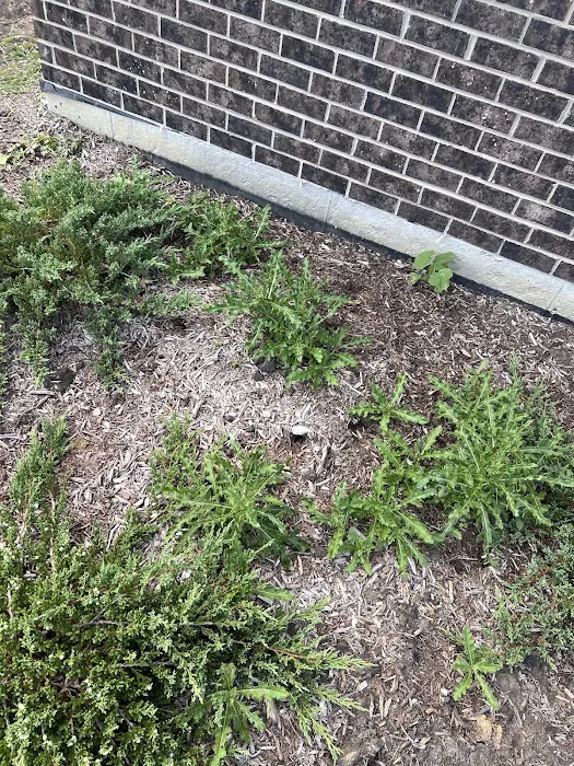 Pro Turf & Pro Pest Solutions - Plainfield Picture 8