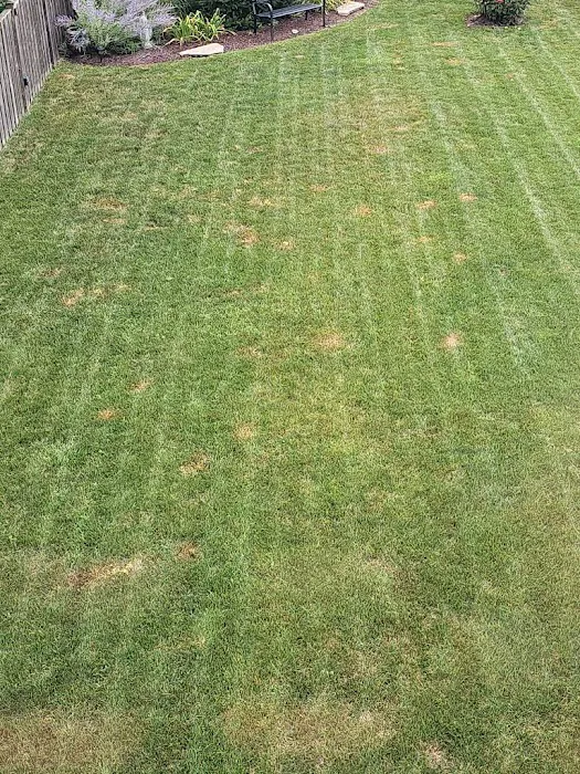 Lawnworks Of Joliet, Inc. Picture 7