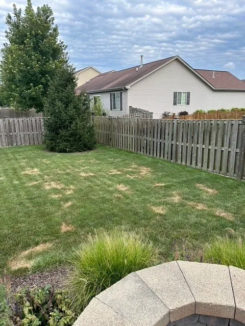 Lawnworks Of Joliet, Inc. Picture 1