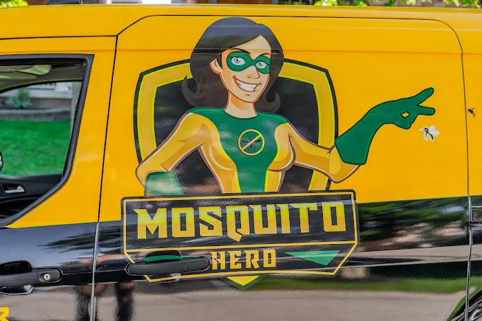 Mosquito Hero Picture 9