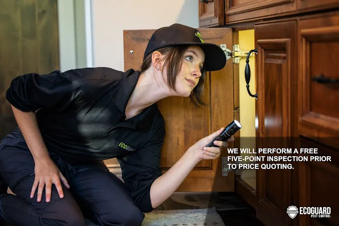 EcoGuard Pest Control Picture 2