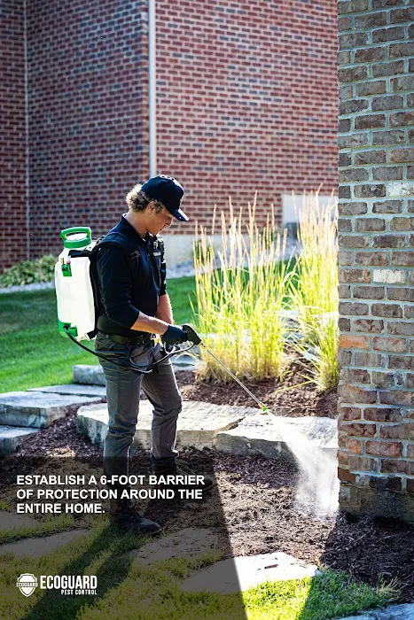 EcoGuard Pest Control Picture 5