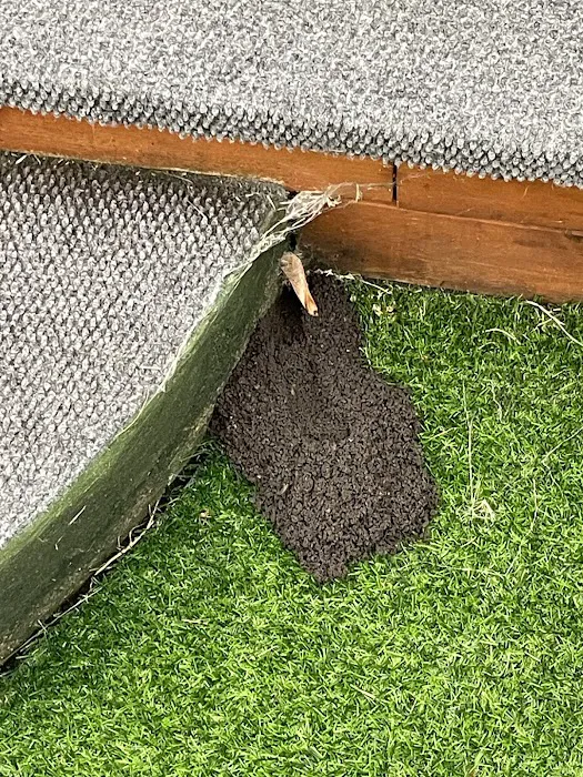 EcoShield Pest Solutions Picture 7