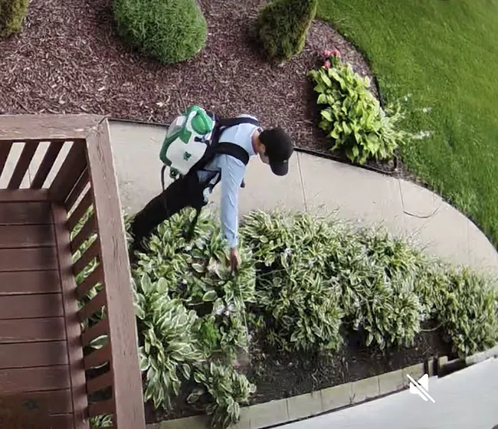 EcoShield Pest Solutions Picture 3