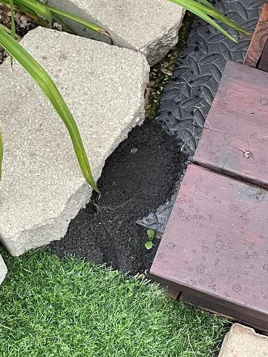 EcoShield Pest Solutions Picture 10