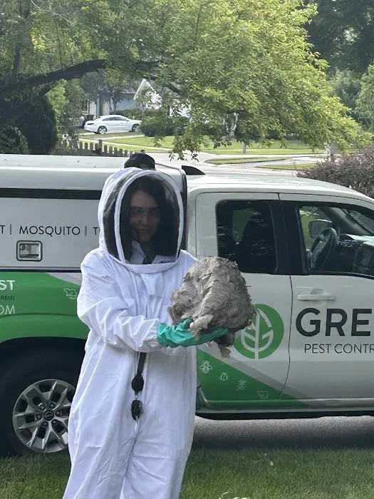 Greenix Pest Control Picture 10
