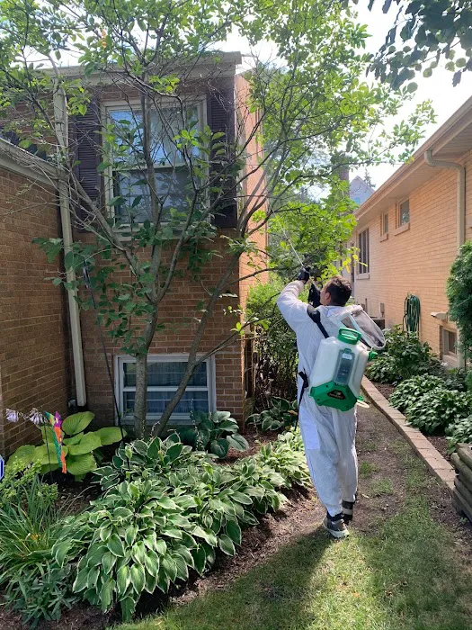Pest Busters Pest Control Picture 6