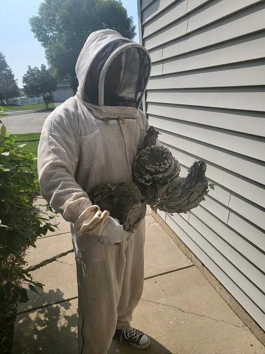 Pest Busters Pest Control Picture 1