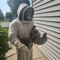 Pest Busters Pest Control ico