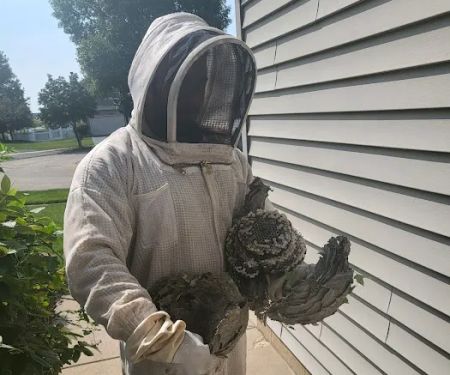 Pest Busters Pest Control